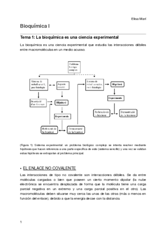 Apuntes-bioquimica-Elisa.pdf