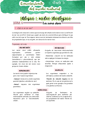 BLOQUE-1.pdf