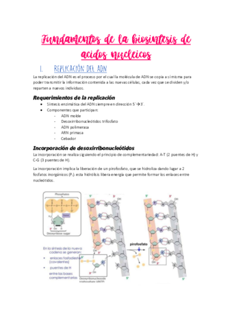 tema-13-resumen.pdf