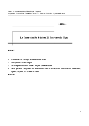 Tema 1 Patrimonio neto (tema desarrollado).pdf