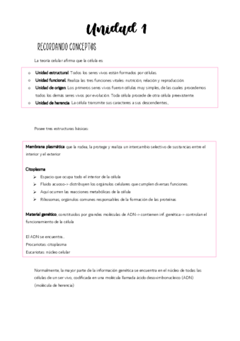 Unidad-1.pdf