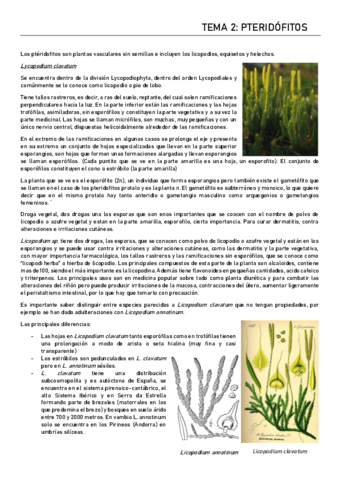 Tema-2.pdf