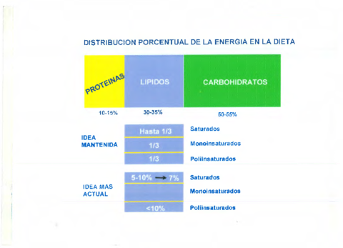 Transparencias-lipidos.pdf