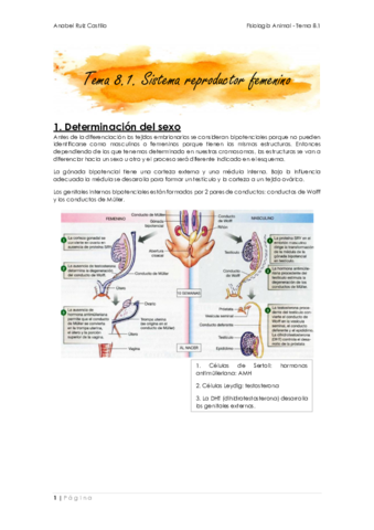 Apuntes-T81-Femenino.pdf