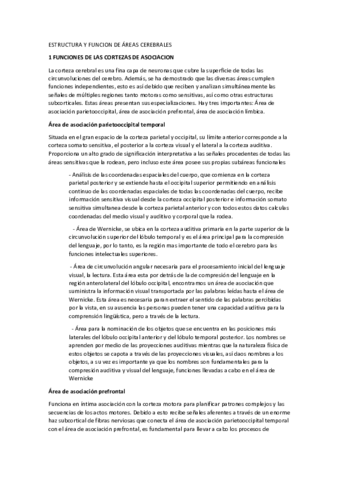 ESTRUCTURA-Y-FUNCION-DE-AREAS-CEREBRALES-S3.pdf