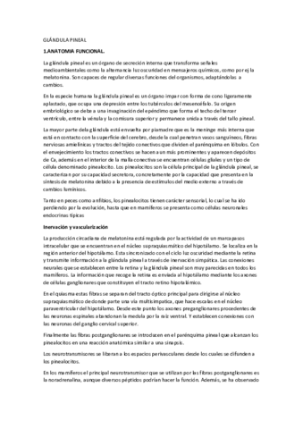 GLANDULA-PINEAL-S4.pdf