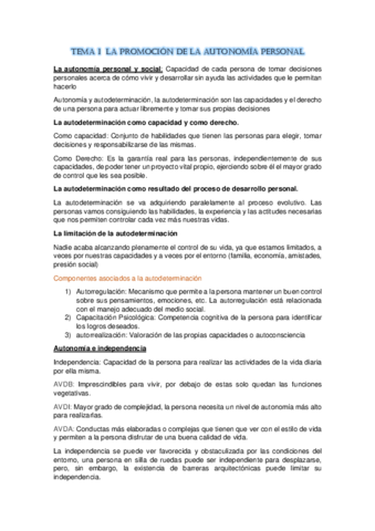 Promocion.pdf
