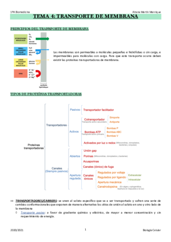 TEMA-4.pdf