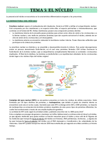 TEMA-5.pdf