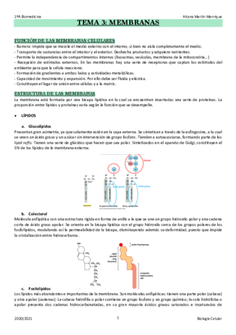 TEMA-3.pdf