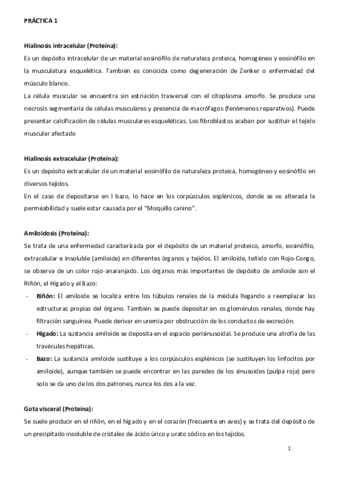 DESCRIPCION-PRACTICAS.pdf