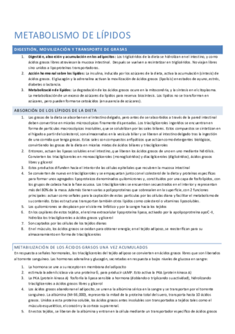 Metabolismo lípidos.pdf