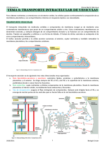 TEMA 8: transporte vesicular