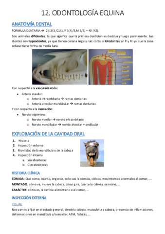 Tema-12-odontologia-equinos.pdf