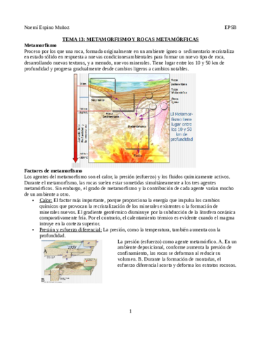 Resumen-tema-13.pdf