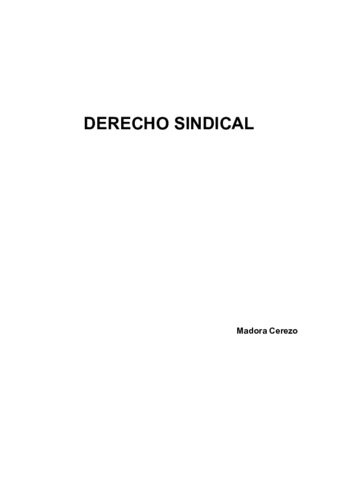 SINDICAL.pdf
