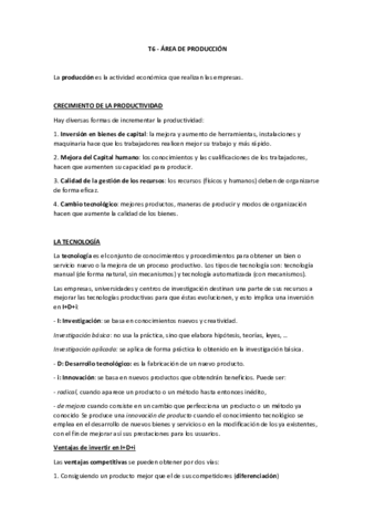 Tema-6-AreaDeProduccion.pdf