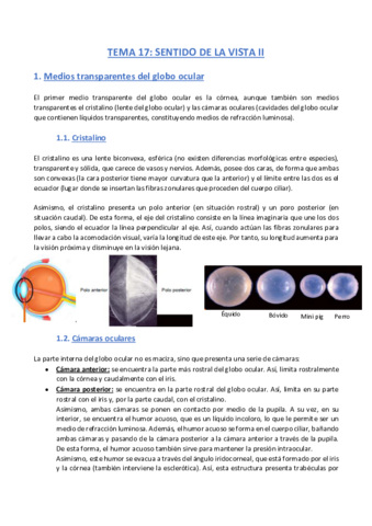 TEMA-17-Anatomia.pdf
