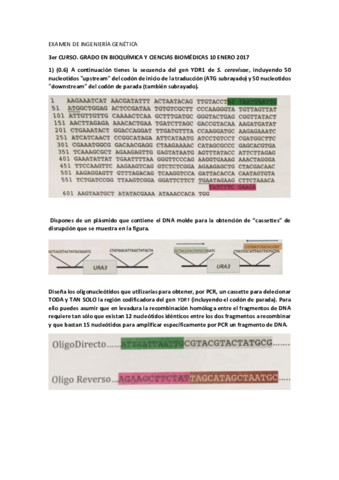 Ingenieria Enero 2017.pdf