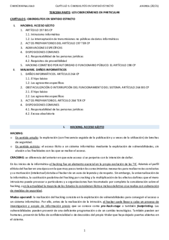 TEMA-5CIBERCRIMINALIDADANDREA.pdf