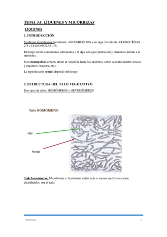 Segundo-Parcial-Comis.pdf