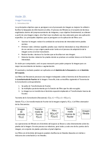 Resumen-Vision.pdf