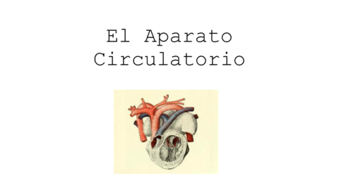 aparato-circulatorio.pdf