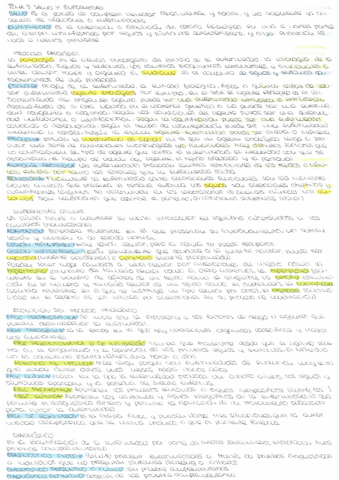 T3-Fisiopatologia.pdf