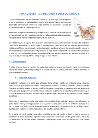TEMA-20-Anatomia.pdf