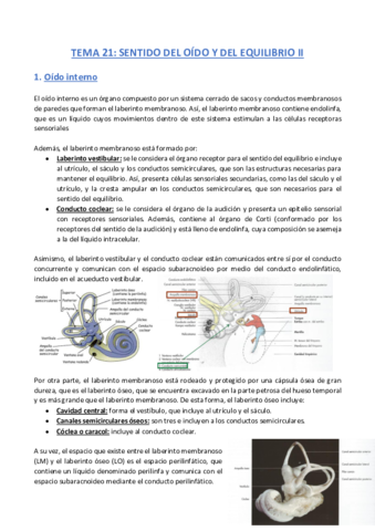 TEMA-21-Anatomia.pdf