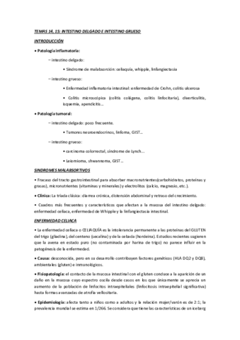 Temas-14-20.pdf