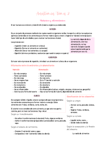 ANATOMIA.pdf