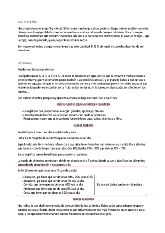 ANATOMIA-4.pdf