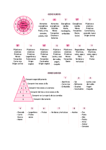 ANATOMIA-5.pdf