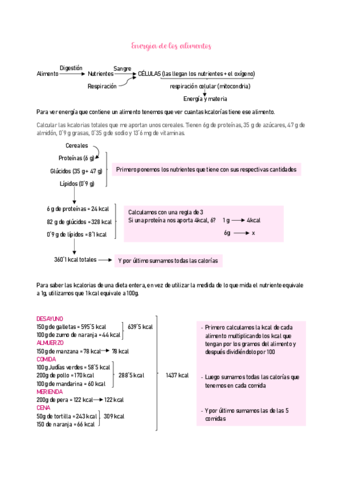 ANATOMIA-6.pdf