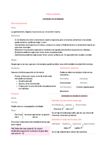 ANATOMIA-9.pdf
