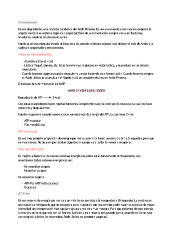 ANATOMIA-13.pdf