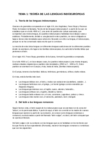 Latin-linguistica-Documentos-de-Google.pdf