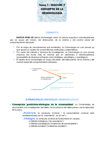 Introduccion-TEMA-1-.pdf