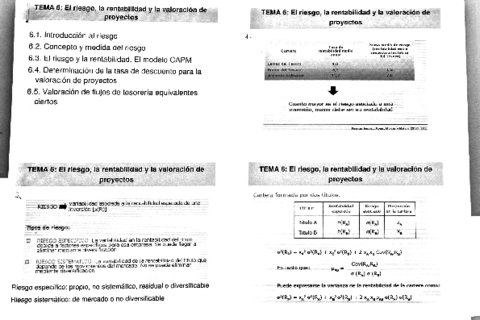 diapositivas-tema-6.pdf
