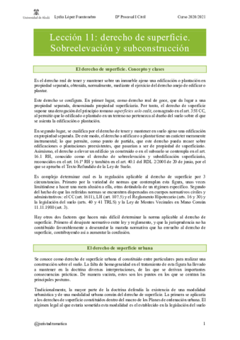 tema-11-civil.pdf