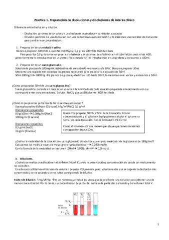Resumen-Practicas.pdf