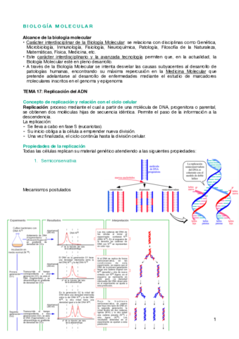 BQ-II-t17.pdf