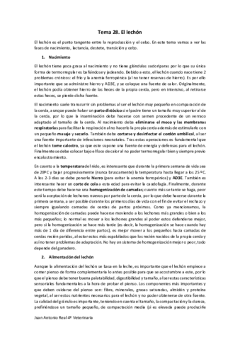 Tema-28.pdf