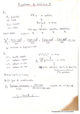 EjerciciosResueltos-T4.pdf