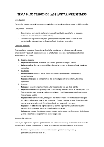 TEMA-6.pdf