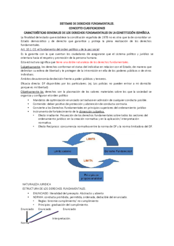 Powerpoint-temas-5-y-6-de-promocion.pdf