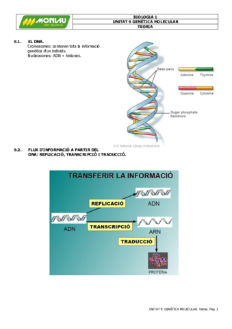 BIOLOGIA-1-UNITAT-09-GENETICA-MOLECULAR-TEORIA.pdf