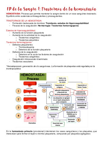 Tema-6.pdf