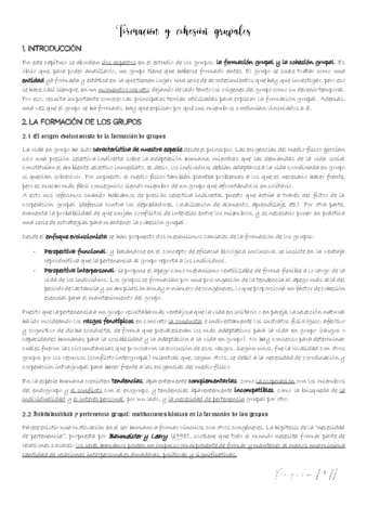 T2-Formacion-y-cohesion-grupales.pdf